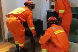 一群消防员抓松鼠图片