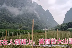 住在大山里，没有经济收入的留守妇女，每天做着男人做的苦力活。视频封面