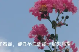 誦讀分享：倉央嘉措詩《忍住了看你，卻任不住想你》，感謝聆聽视频封面