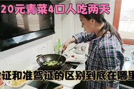 疫情期间导致菜价太贵，百姓消费不起A2驾驶证开大货还需要准驾证视频封面