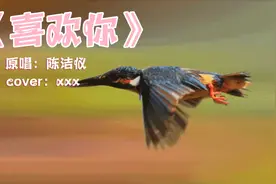 鸟语花香美丽动人的画面真是太美啦！柔美的歌声带你来欣赏。视频封面