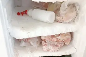 冰箱结冰太厚不要砸！只需一个小喷壶！三分钟冰块自动脱落！视频封面