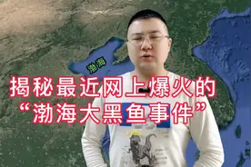 揭秘最近爆火网络的“渤海大黑鱼事件”，到底是个啥？视频封面
