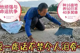 他顽强与命运抗争：种16亩地养50只羊40窝蜂，说一席话令人泪奔…视频封面