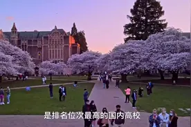 世界大学排名最新出炉：清北遥遥领先，湖南大学成最大黑马！视频封面