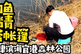 自驾游天津官港森林公园，发现能钓鱼的小树林，踏青搭帐篷太爽了视频封面