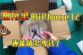 手机掉厕所里了怎么办？千万别慌，一招教你应急处理！视频封面