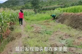 妈妈吃了饭就去割草，夫妻俩也上坡去帮忙，几个月没种草比人还高视频封面