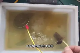 用盐水就可以给金属除锈，方法简单，效果明显，生活必备。视频封面