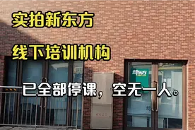 实拍新东方线下培训机构现状，已空无一人，全部停课视频封面