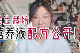 干货！教你用各种固体肥料DIY配制出无土栽培营养液：叶菜配方视频封面