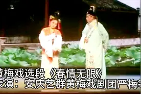 演员严梅说，自己外婆与严凤英大师为同村最要好的同台唱戏艺人视频封面