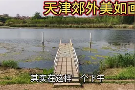 距离天津市中心20公里的地方，隐藏着一个江南，这里风景美如画！视频封面