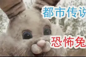都市传说-恐怖兔人视频封面