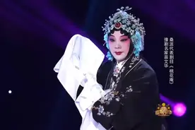 豫剧桑派【桃花庵·九尽春回杏花开】苗文华演唱视频封面