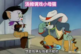 汤姆看上小母猫视频封面