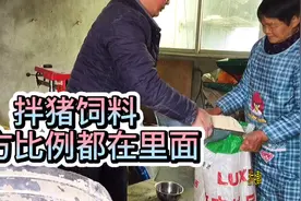 农村喂猪自己拌饲料，猪儿长得又肥又壮，配方比例都在视频里面视频封面
