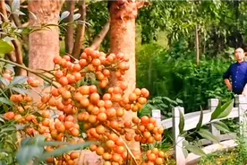 这个没人去的公园你敢去吗？视频封面