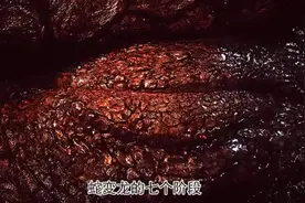 蛇进化成龙的七个阶段，你知道需要经历哪些？#神话 #龙https://v