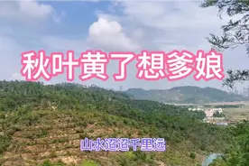 一首《秋叶黄了想爹娘》，感人至深，思念双亲泪满眶视频封面