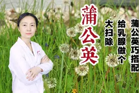 蒲公英巧搭配，给乳腺结节做个大扫除视频封面
