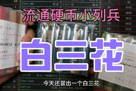 第五套人民币硬币—白三花