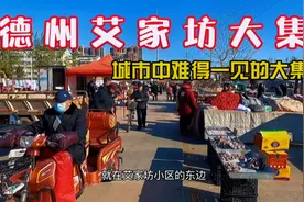 德州艾家坊大集，东西又全又实惠，公交直达真方便视频封面