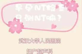 2022虎年孕计划：早孕做NT时就可以看见刚成形不久的虎宝宝哟：）视频封面