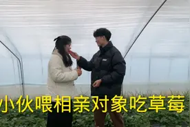 农村小伙主动喂相亲对象吃草莓，姑娘却害羞的差点摔倒视频封面