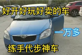 刚刚拿驾照可以买什么车练手？好看好开还便宜视频封面
