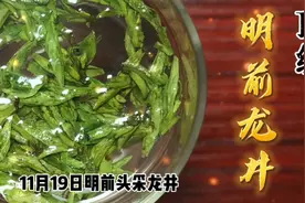 真实顶级龙井，在实体茶庄里卖好几千的那种，其实在农民这也便宜视频封面
