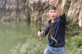 这河道刺鳅鱼真多，用蚯蚓做诱饵一下钩就狂咬不停，甩竿太刺激了视频封面