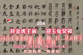 （204）武汉肖中华采用篆隶行草楷5种字体书写10幅七言对联视频封面