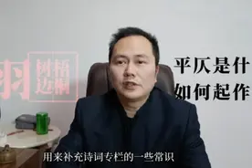 什么是仄，什么是平，到底有什么用——格律诗入门扫盲视频封面