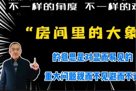 “房间里的大象”的意思是对显而易见的重大问题视而不见避而不谈视频封面