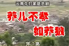 云南山歌悲剧  养儿不孝如养狼  全集视频封面
