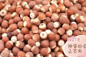 健康科普--神奇的中药之芡实视频封面