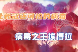 你知道比新冠还可怕的病毒吗，它就是病毒之王埃博拉。视频封面