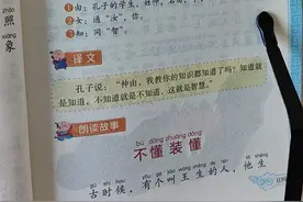 知之为知之，不知为不知，是知也视频封面