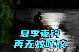 夜钓，会被蚊子吃了？不！老钓鱼人多年驱蚊方法分享，再无蚊叮你视频封面