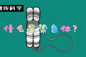 什么是染色体？视频封面