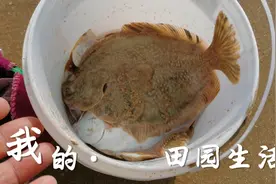青岛西海岸灵山湾钓大牙塌鱼一串串的就跟放鞭炮一样过瘾视频封面