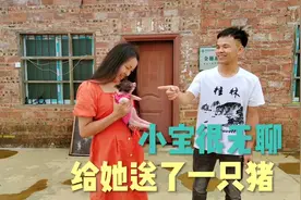 辉哥花500元买了一只宠物猪给小宝，她很喜欢，叫什么名字好呢？视频封面