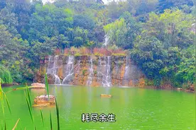 跟喜欢的人结婚会后悔吗，其实结不结婚都会后悔对吗？视频封面