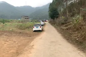 致：钓鱼人视频封面