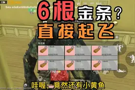 #地铁逃生测试服 单排复活点运营及阴人和辐射区教学视频封面