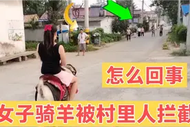 姑娘骑羊一下火了，跑起来速度特别快，真好玩视频封面