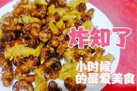 大厨分享自己小时候最爱吃的炸知了干香酥脆吃不够满满的回忆？视频封面