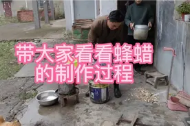 带大家看看蜂蜡的制作过程视频封面