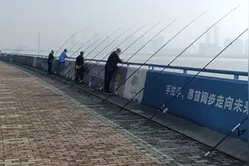 杭州钱塘江大爷钓到了一条大鱼，太棒了！视频封面